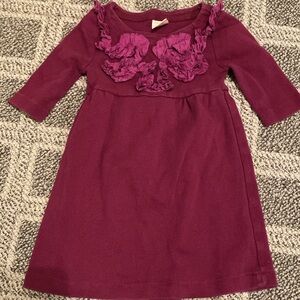 Crewcuts Maroon Dress with Floral silk Details